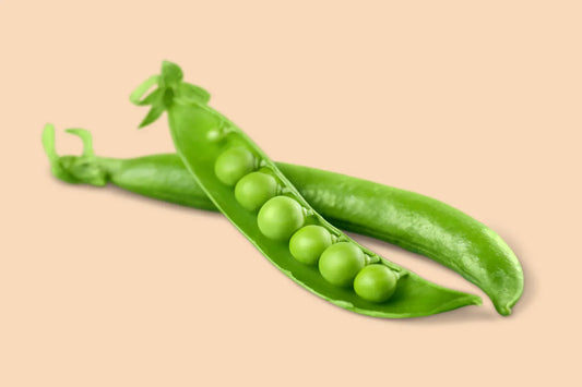 Bio Grüne Erbsen: Das heimische Protein-Kraftpaket