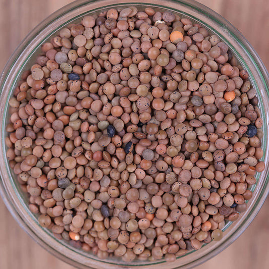 Berglinsen Bio - unverpackt & lose