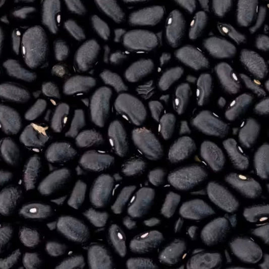 Bohnen schwarz Bio - unverpackt & lose