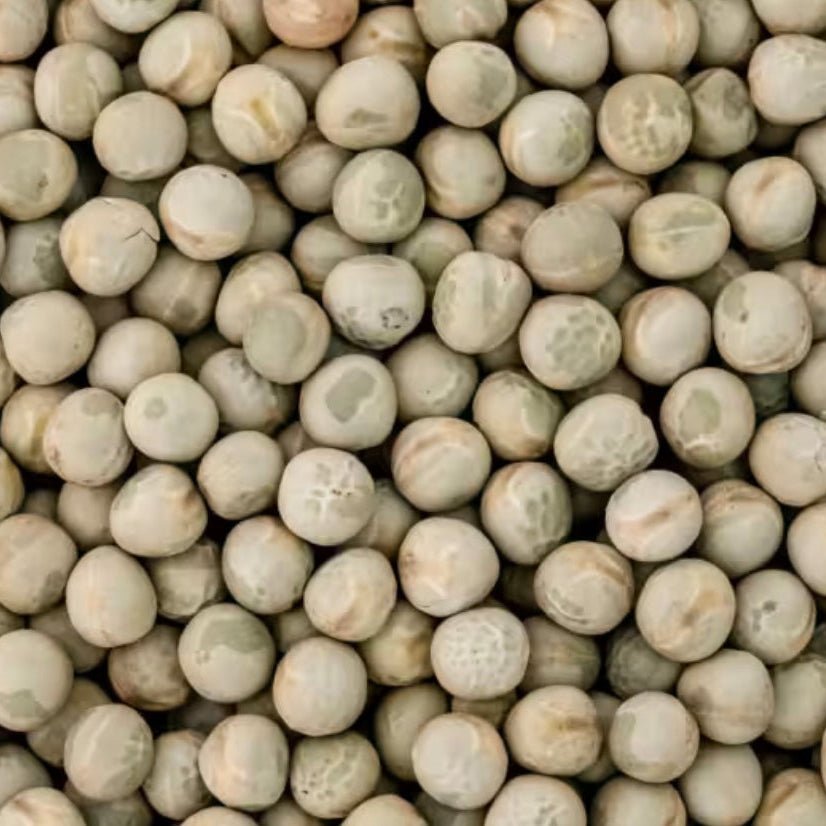 Erbsen grün Bio - unverpackt & lose